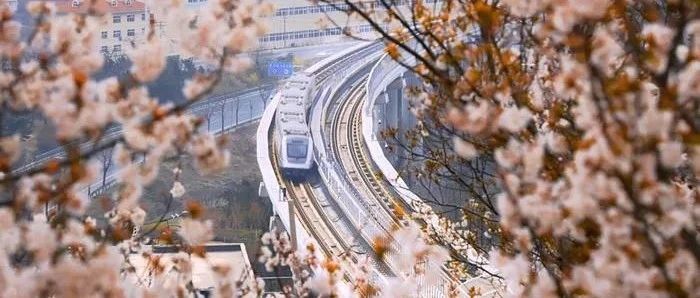 青岛地铁：搭载数智引擎，为城市轨道保驾护航