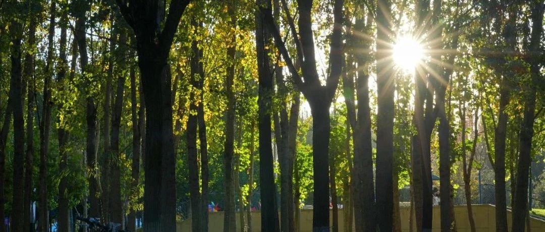 等风来 不如追风去