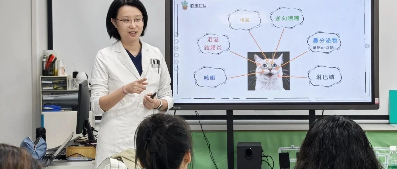 【安安鹏峰宠物医院】守护猫咪健康，爱猫秋季健康线下沙龙