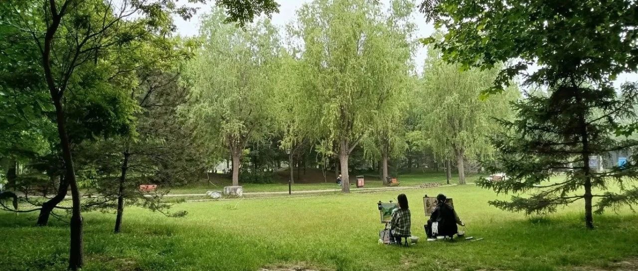 每天一个“断舍离”