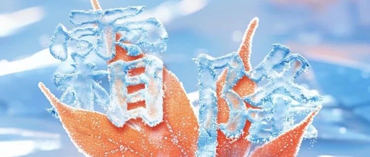 今日霜降 | 一叶知霜降，一雨感深秋