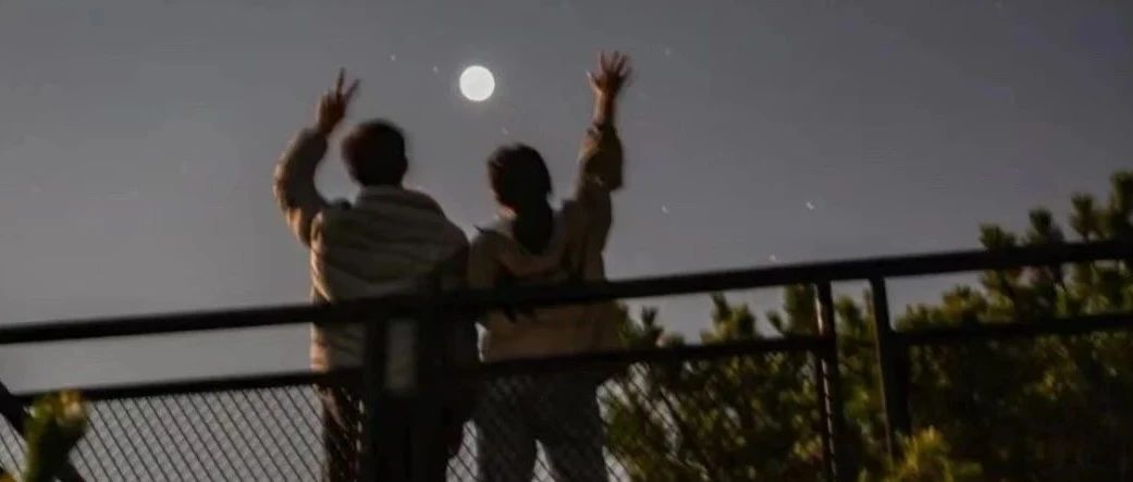 你有多少年，没回家过中秋了？