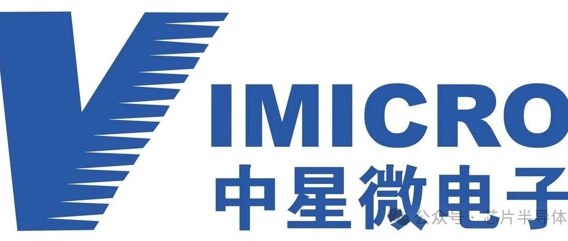 中星微电子：数字多媒体芯片领域的领航者与未来展望