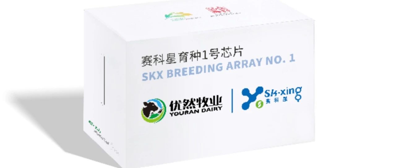 奶牛育种1号芯片在优然牧业赛科星研发成功