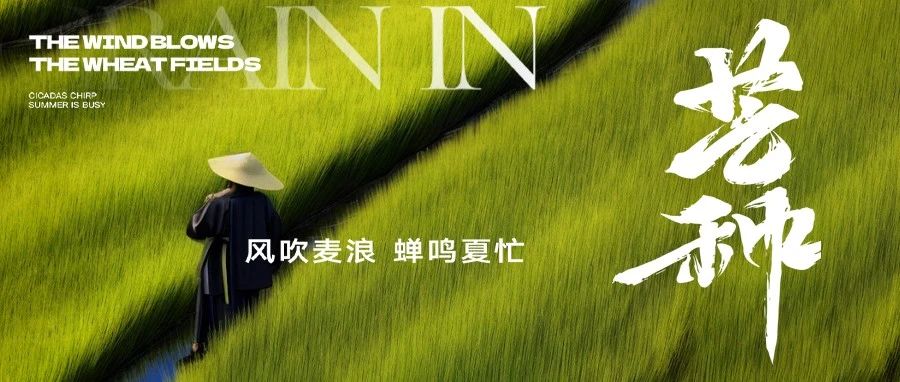 风吹麦浪,蝉鸣夏忙——亚特祝您芒种快乐!