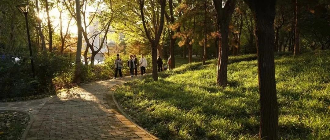 燕理生活，元气满满！