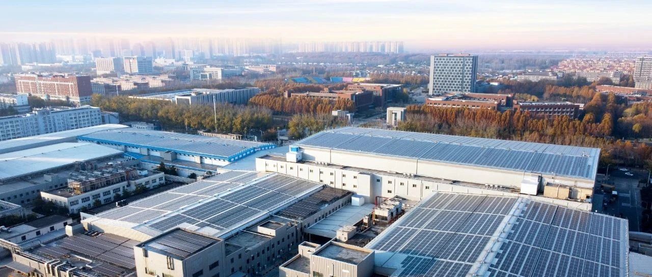 阳光新能源 × 思念食品 | 这份思念，满载绿电！