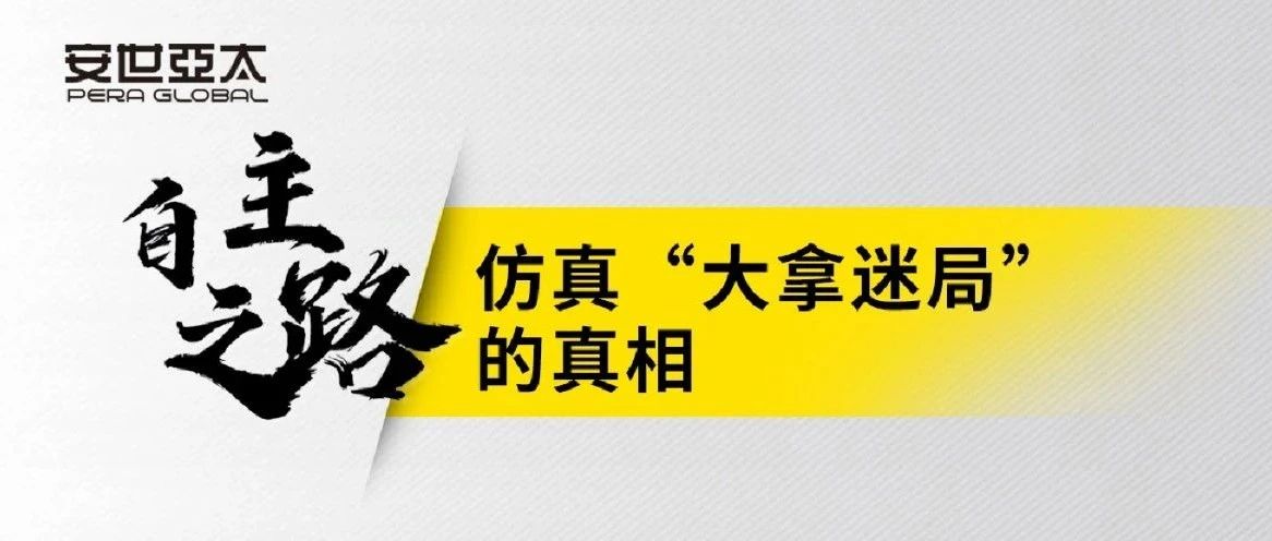 仿真“大拿迷局”的真相