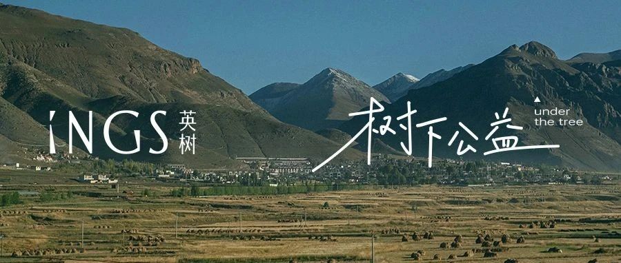 INGS树下｜在西藏那曲，播下小小的新绿
