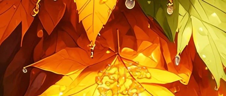 今日白露 | 白露凝珠，秋色渐浓