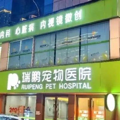 了不起的中心医院|探访瑞鹏（龙江）宠物医院：每一个生命都是无可替代的。
