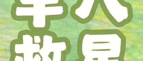 新品限时送 | 早八人元气早餐攻略！