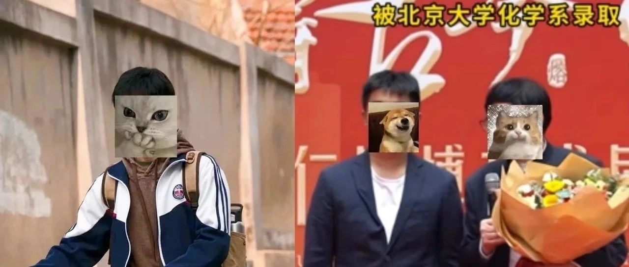 《抓娃娃》破15亿，富三代700分进北大强基，多少人困在中式富养？