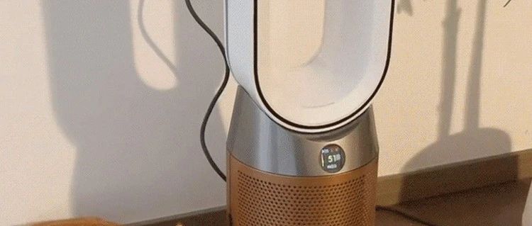 和毛茸茸小可爱过冬，需要注意什么？