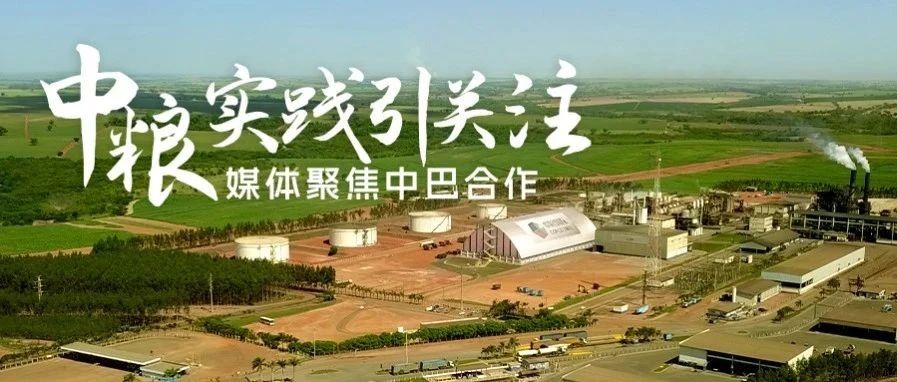 媒体聚焦：中巴务实合作的中粮案例