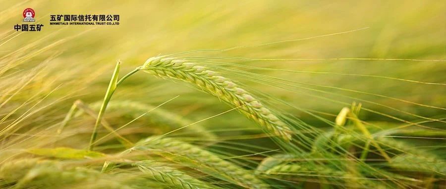 聚焦｜协同帮扶，绘就村振兴新画卷 ——确山县人民政府、五矿信托与五矿证券帮扶调研圆满完成