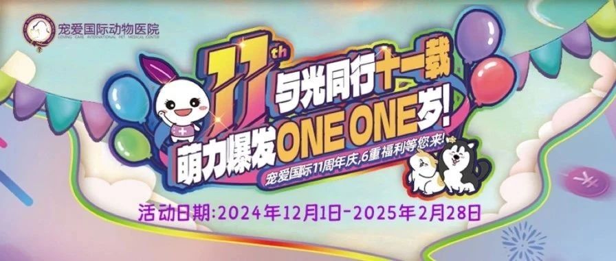与光同行十一载，萌力爆发one one岁——宠爱国际11周年庆，6重福利等您来！