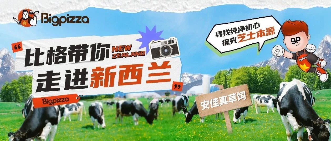 比格带你走进新西兰  ▏寻找纯净初心探究芝士本源