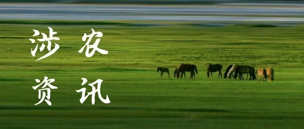 关于促进肉牛奶牛生产稳定发展的通知