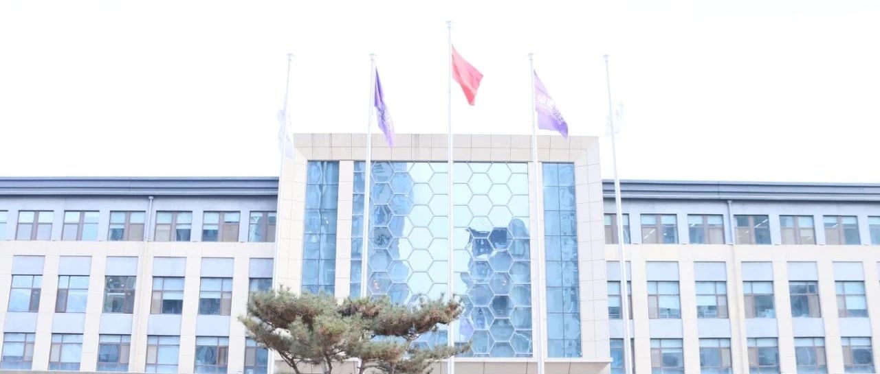 公司举行蛇年新春伊始首次升旗仪式