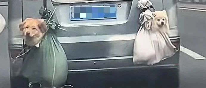 春运又上热搜！下雨下雪下刀都挡不住中国人回家的执念