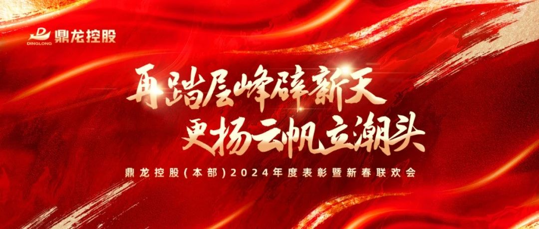 鼎龙集团2024年终总结表彰会暨2025新春联欢会圆满举办
