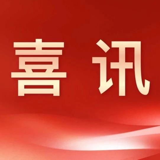「芯」喜速递｜乙巳蛇年，辉煌再续——厨芯科技荣获省级专精特新企业称号等三项殊荣