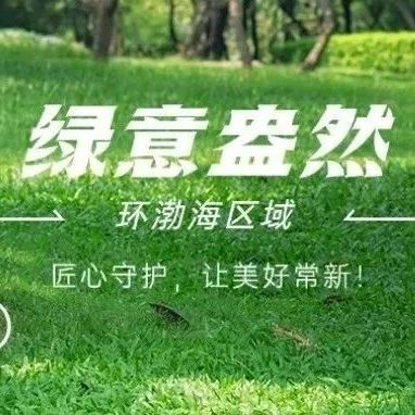 环渤海区域 | 绿意盎然，匠心守护，让美好常新！
