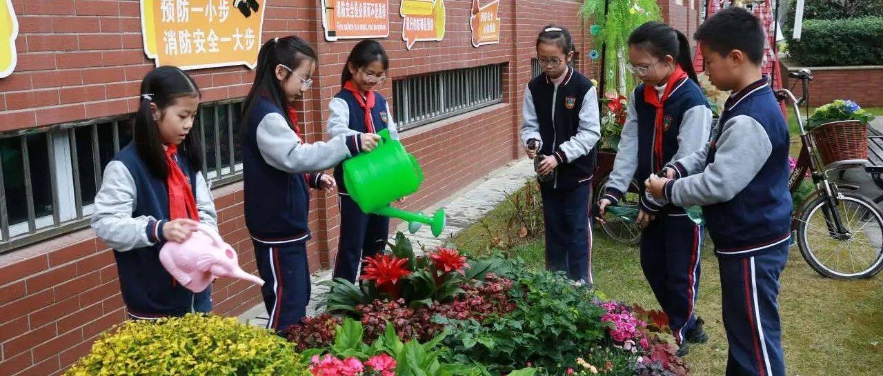 我会尊重 | 种下小树苗，解锁春日“绿码”