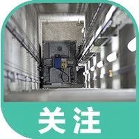 当场身亡！平均8天死1人，电梯事故如何自救？