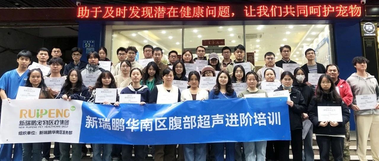 新瑞鹏华南区医疗专项培训 | 首期培训-腹部超声进阶课程圆满结束