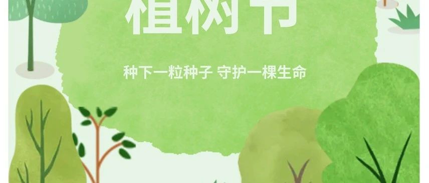 “植此青绿，共筑未来”——2025年植树节环保主题活动（一）