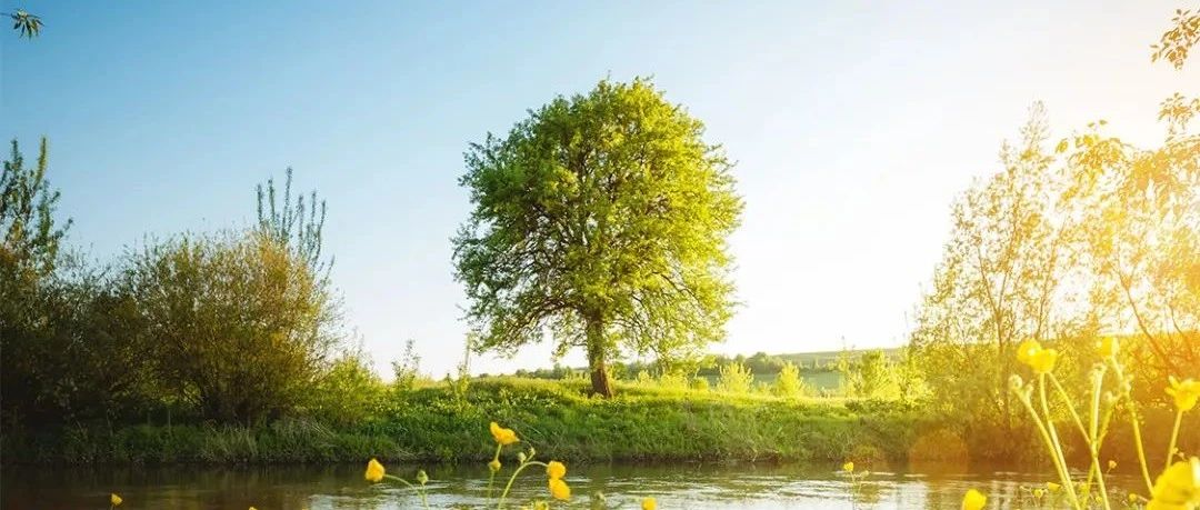 春风有信 出行可期