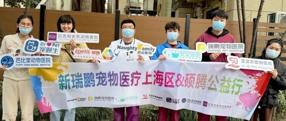 公益｜Andrea离开的102天后，她的狗狗猫猫有被继续好好爱着…