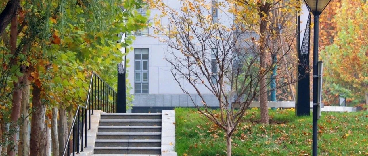 在燕理种下理想的大树