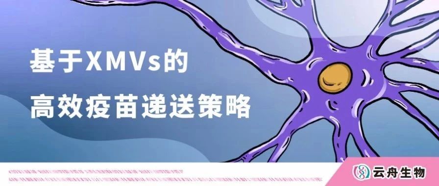 Nature大子刊 | 国家纳米中心梁兴杰等提出靶向树突状细胞的疫苗递送新策略