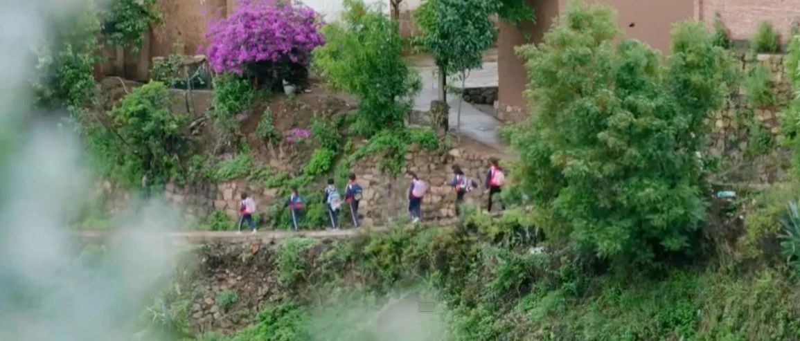 让知识跨越山河：山区小学的蜕变，见证教育公平的星辰大海