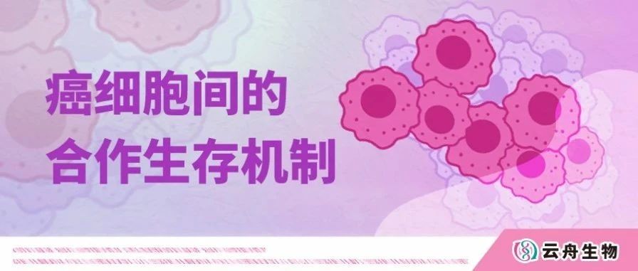 Nature | 癌细胞竟会抱团取暖！纽约大学揭示癌细胞间的合作生存机制