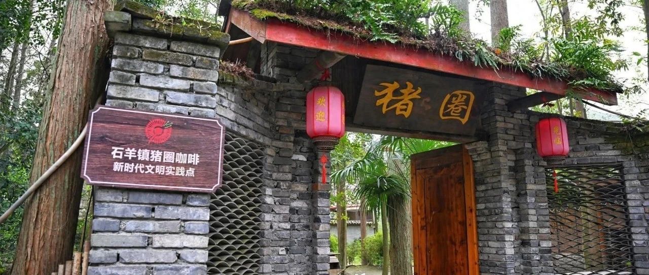 “猪圈+咖啡”，游客日均700人咖啡生意