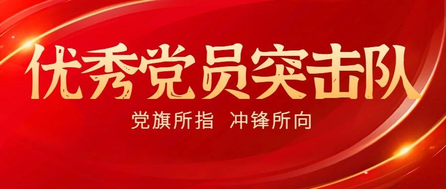 党旗所指 冲锋所向丨优秀党员突击队：揭阳分公司营销突击队