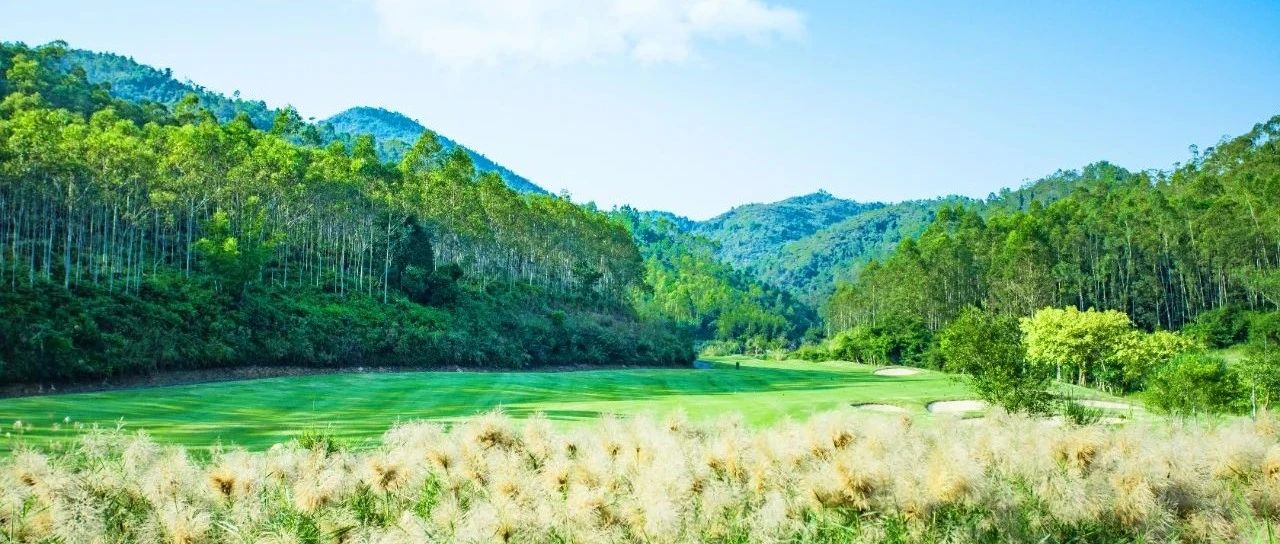 阳春三月，宜解压