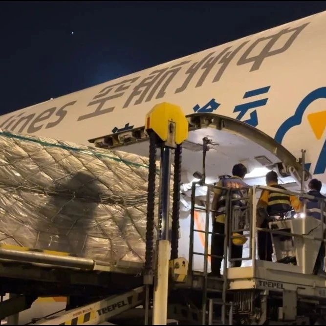 重要！欧美直发包裹的最新政策动态解析