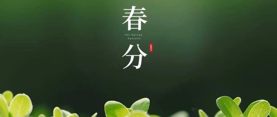春分，美好向新而生。