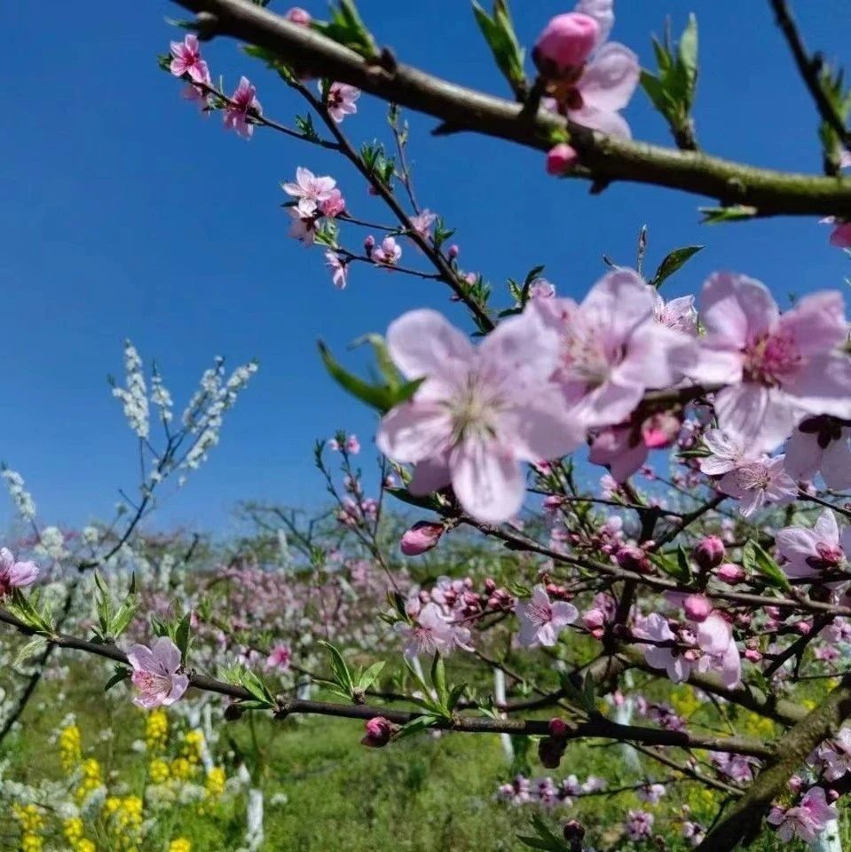 小溪苑 | 美文欣赏