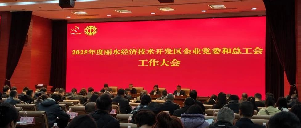 2025年度丽水经开区企业党委和总工会工作大会召开 | 东岸科技凭借优秀党建工作载誉前行