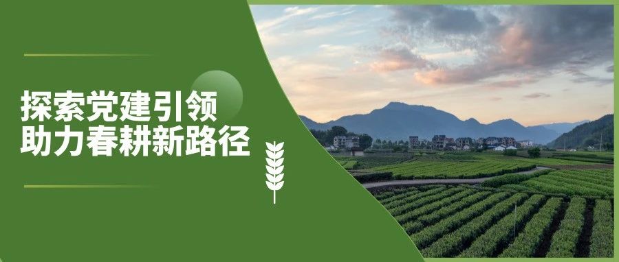 中国银行保险报丨党建引领 破解春耕融资难