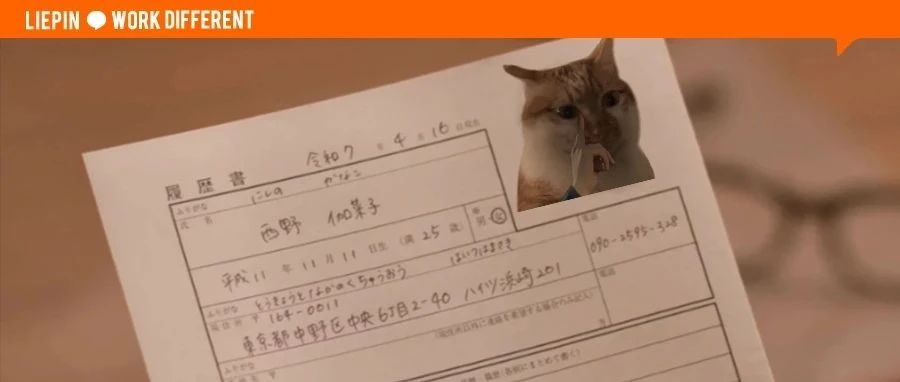 太超前!00后的简历已经到next level了?