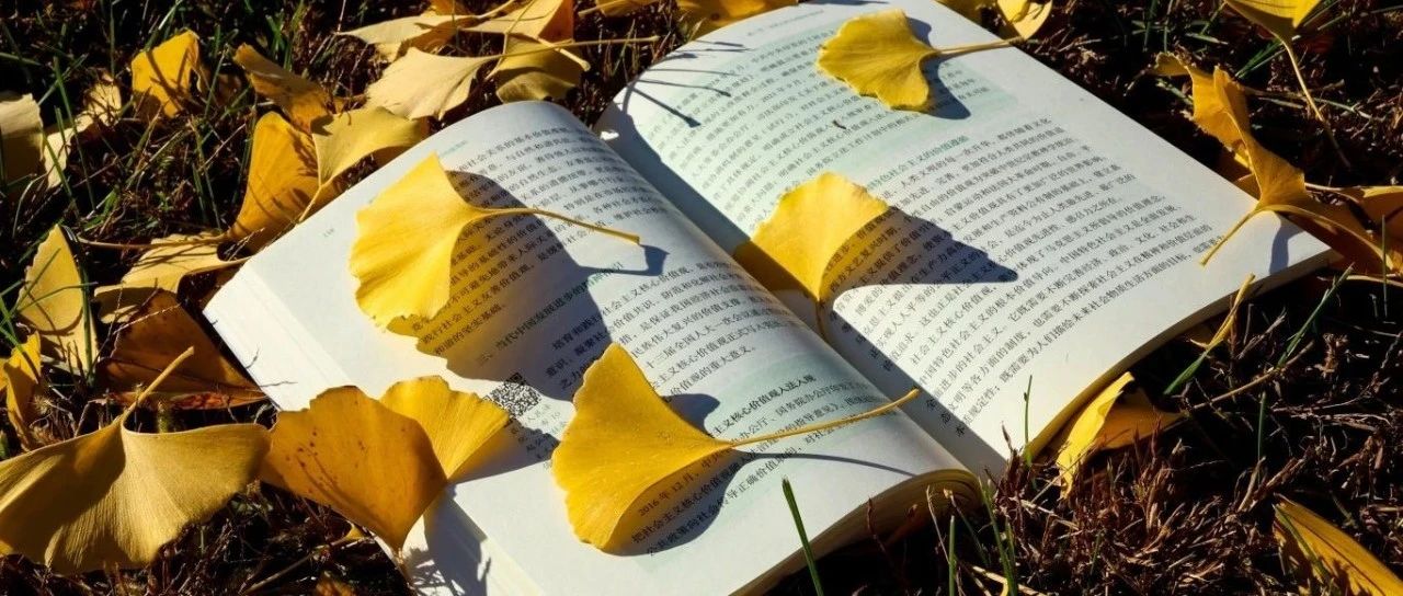 当燕理生活遇到经典图书