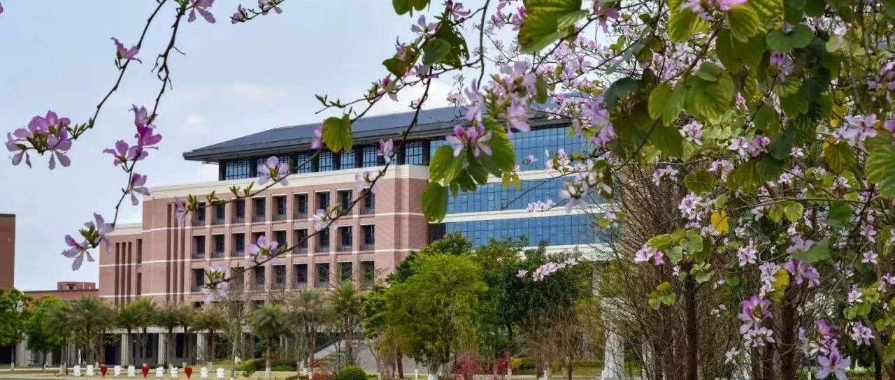 这届大学生真的“难哄”