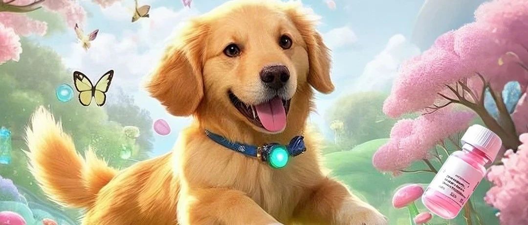 不同年龄段的狗狗应该如何打疫苗?看这一篇就够了!